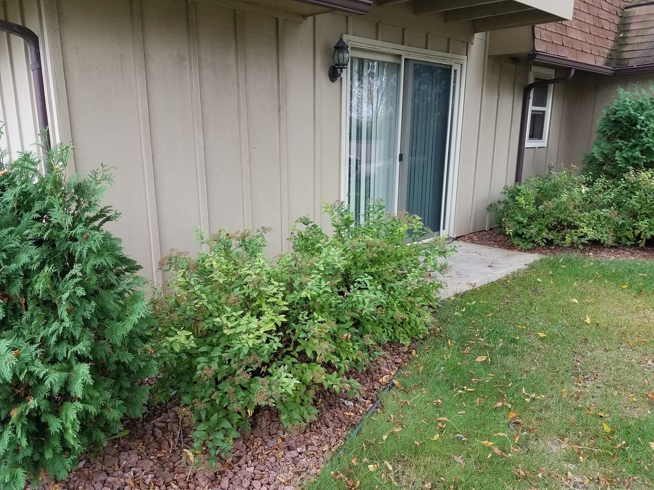 100eilb - Photo 6 of 7