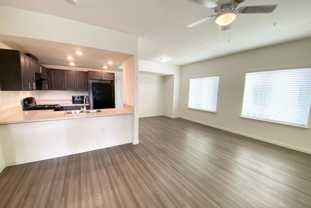 Brand New - Del Rio Apartments - Photo 1 of 1