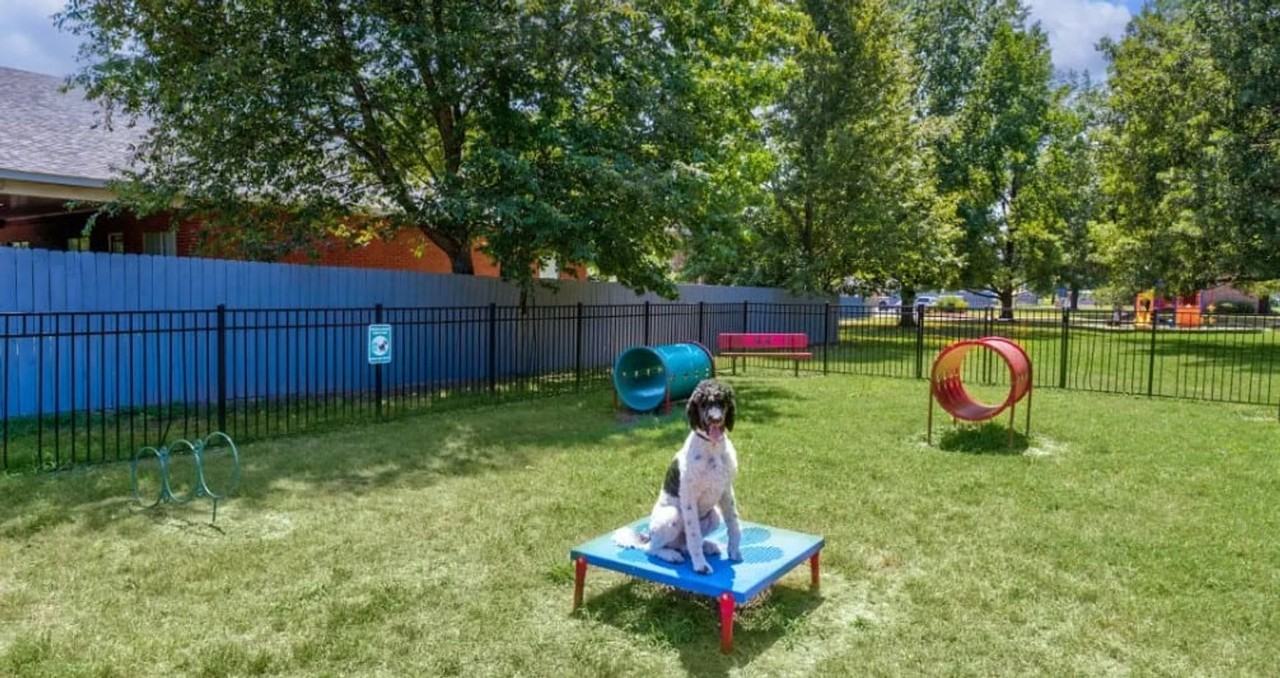 The Avenue - Photo 5 of 50