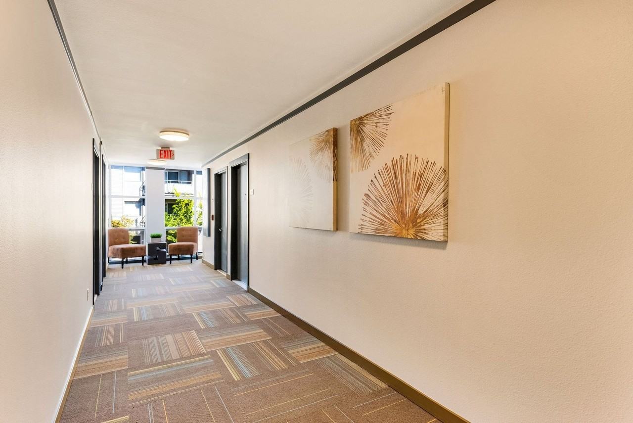 The West 206 Apartments - Photo 5 of 8