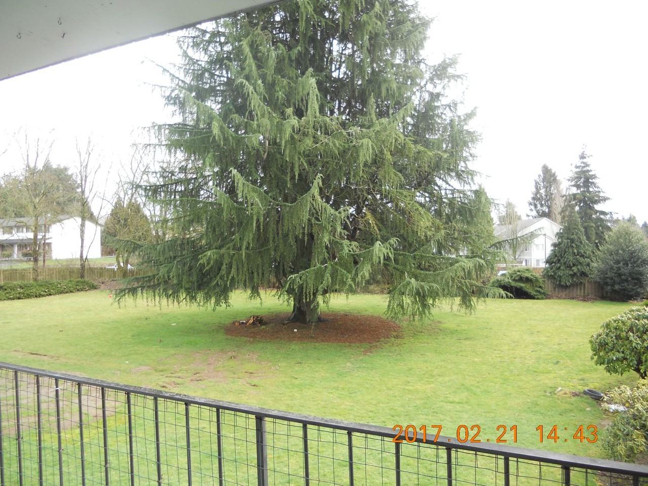 Large Greenspace Units Conveniently Located off I - Photo 7 of 9