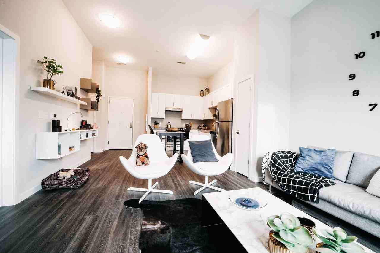 The Curb - Photo 6 of 50