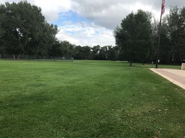 Large Spacious 1 & 2 Bedroom Apartments - Photo 5 of 10