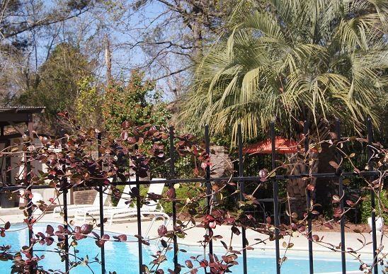 Cooper Creek Village - Photo 7 of 15