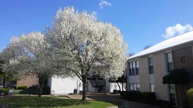 246 White Bridge Pike - Photo 3 of 17