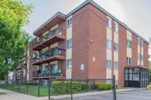 featured image of 480 Norfolk St #101