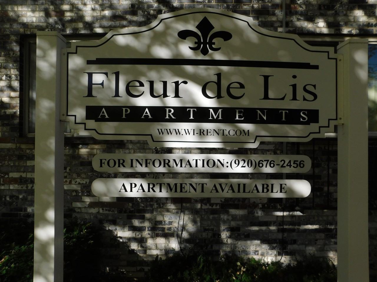 Sherry - Photo 2 of 35