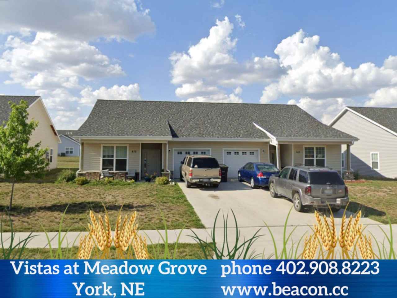 Vistas at Meadow Grove - Photo 3 of 13