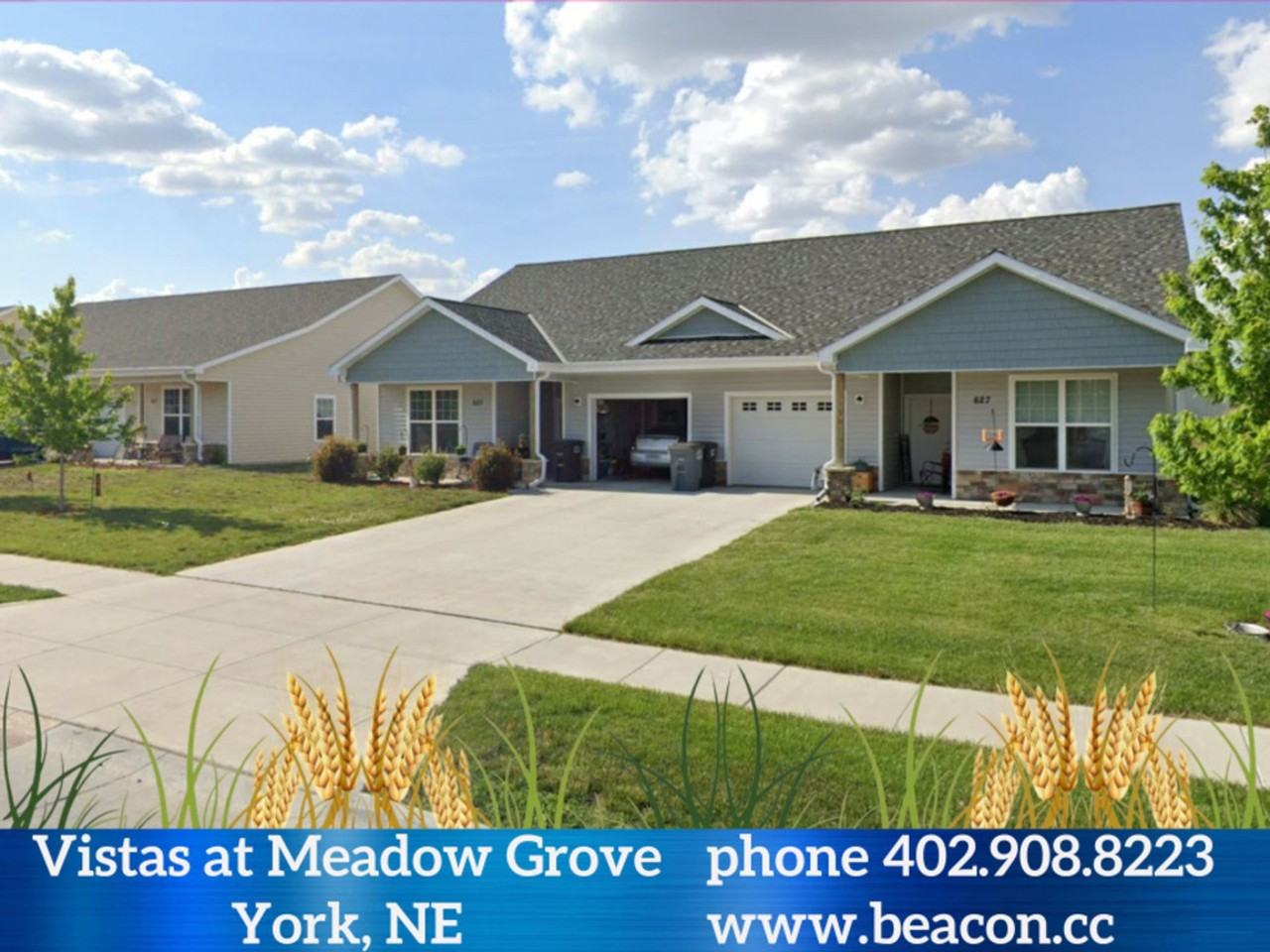 Vistas at Meadow Grove - Photo 4 of 13