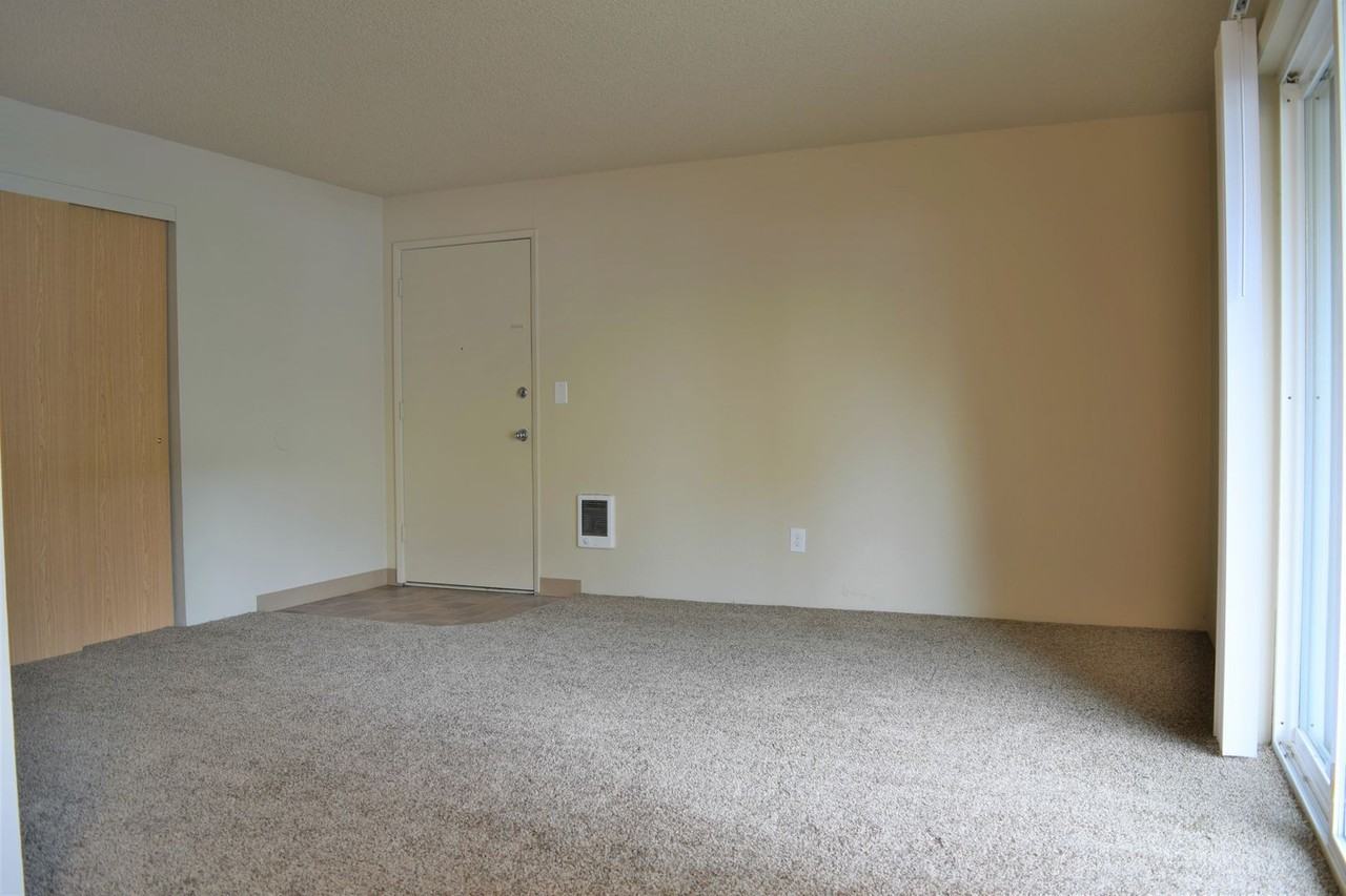 Fall Quarters - Photo 2 of 38