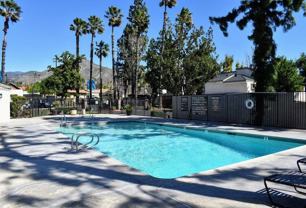 2225 Pumalo St - Photo 1 of 1