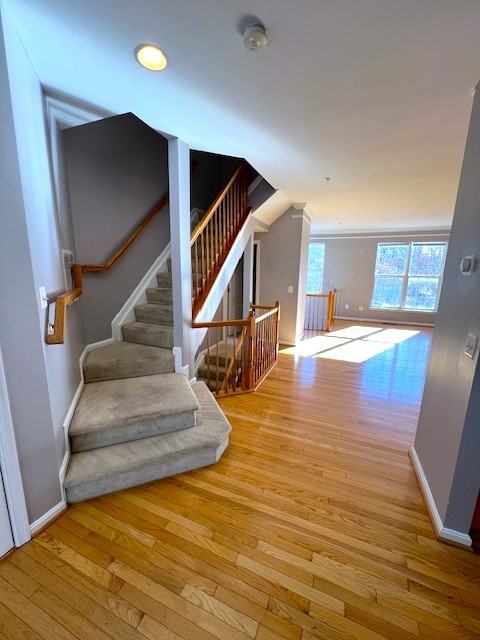 10312 Nareen St #1 - Photo 6 of 48