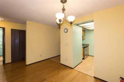 Clayton Drive, Maple Plain (5358) LY KZ1 - Photo 5 of 17