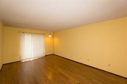 Clayton Drive, Maple Plain (5358) LY KZ1 - Photo 6 of 17