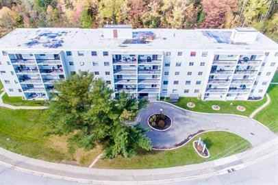 652 Macdonald Avenue - Photo 7 of 50