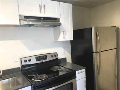 Cherry Blossom - Photo 2 of 30