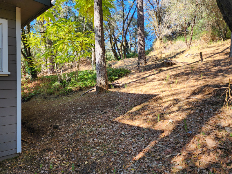 16619 Old Stagecoach Rd - Photo 6 of 14