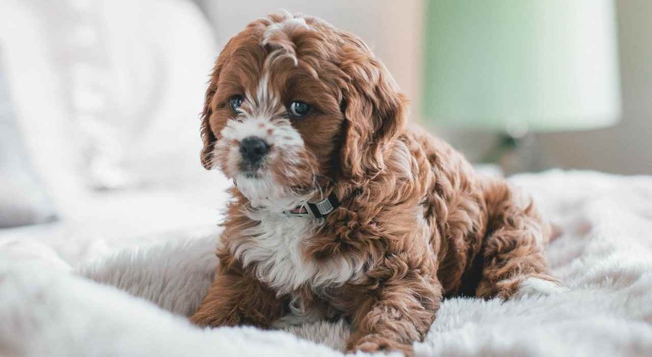 Foote Hills Apartments - Photo 6 of 18