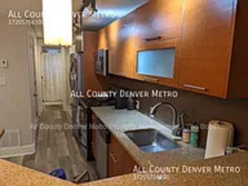 195 S Pennsylvania St #204 - Photo 3 of 8