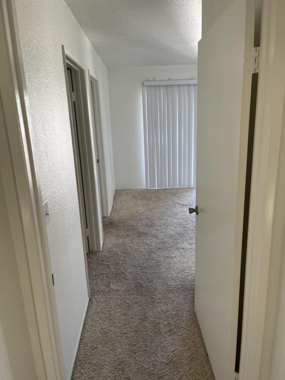 3815 Georgia St - Photo 6 of 16