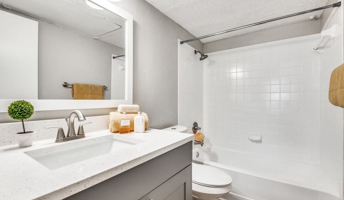 Birch Apartment Homes - Photo 5 of 87