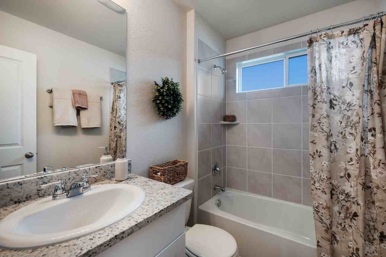 15622 Vanilla Seed Vine - Photo 2 of 40