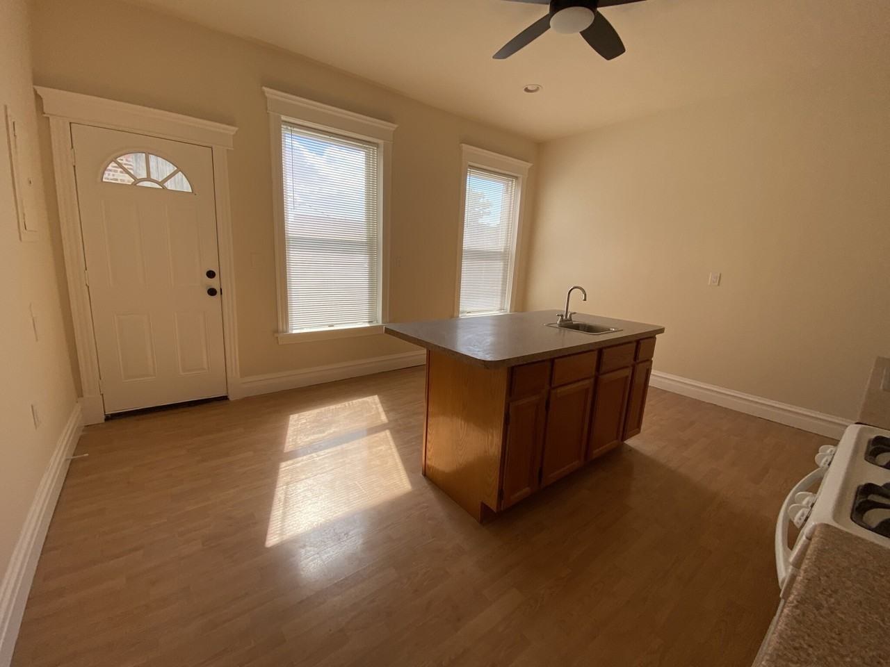 1325 N Homan Ave #2S - Photo 3 of 19