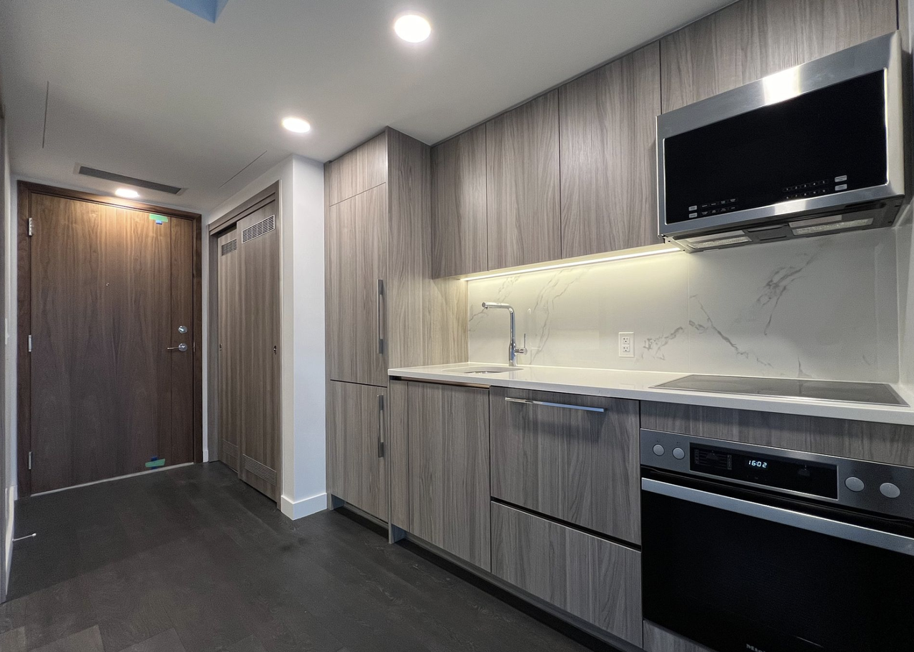 38 Widmer Street #1105