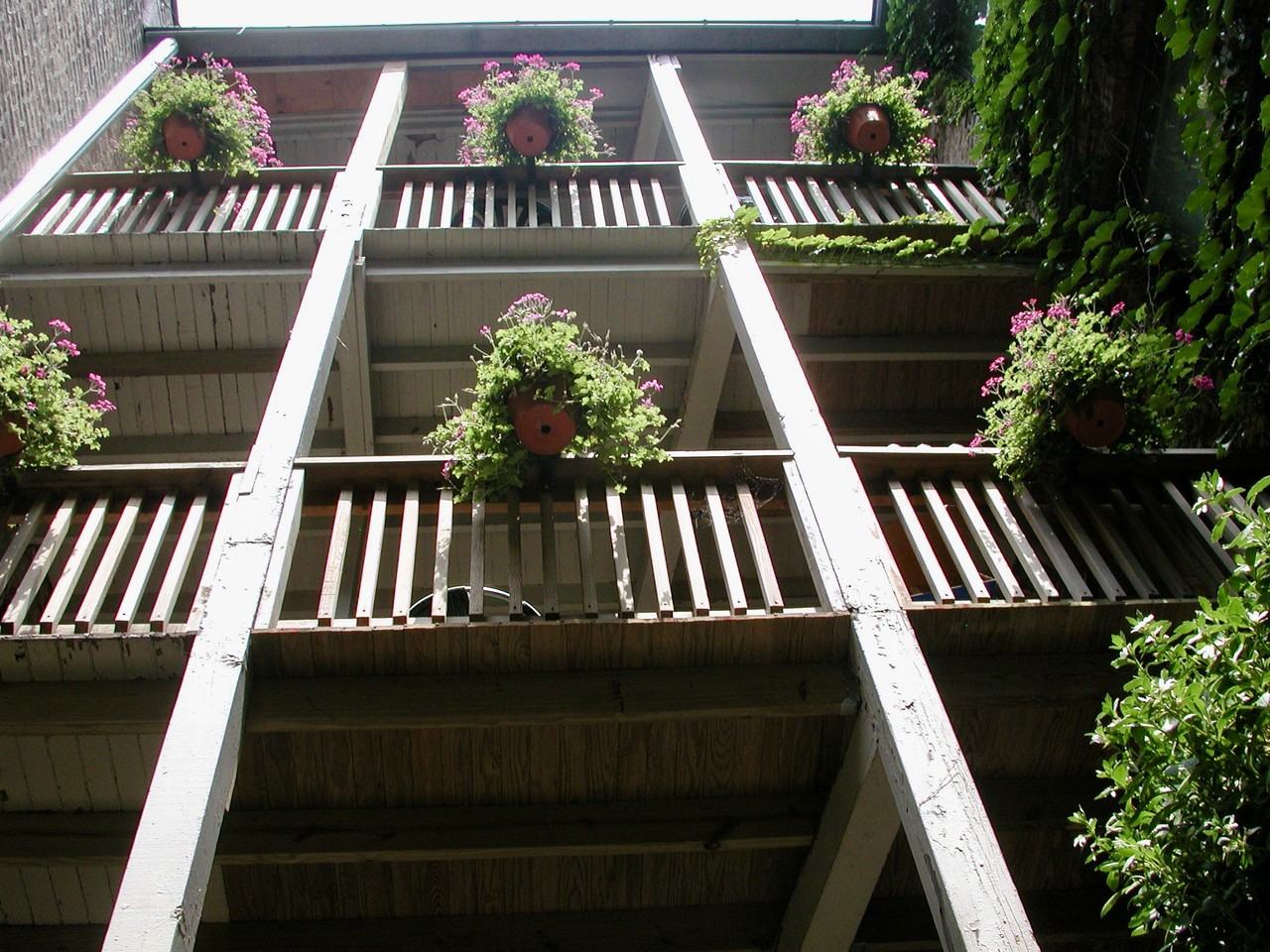 6554 North Glenwood Avenue - Photo 6 of 17