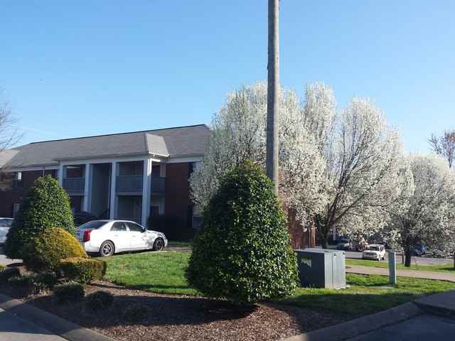 Hickory Manor - Photo 2 of 20