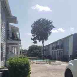 1717 Briar Lane - Photo 3 of 11