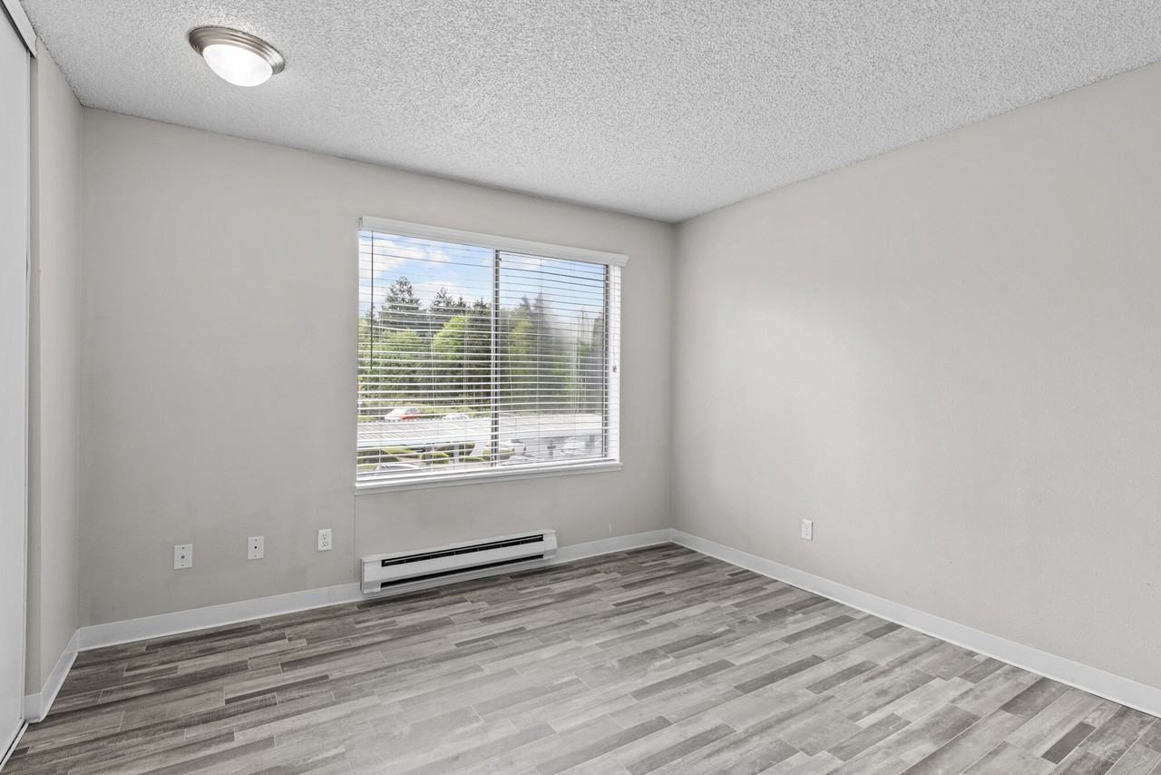 Constellation - Photo 6 of 27