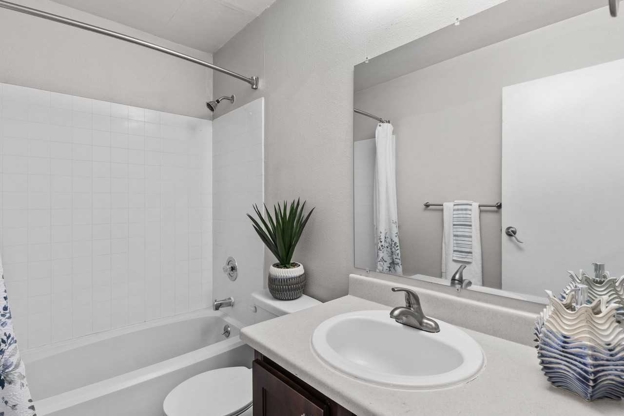 Constellation - Photo 7 of 27