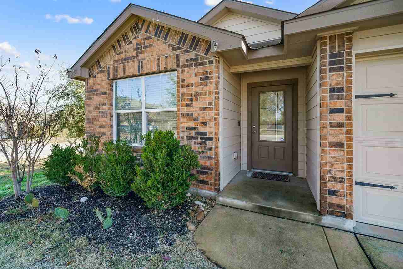 15502 Gray Catbird #1 - Photo 2 of 34