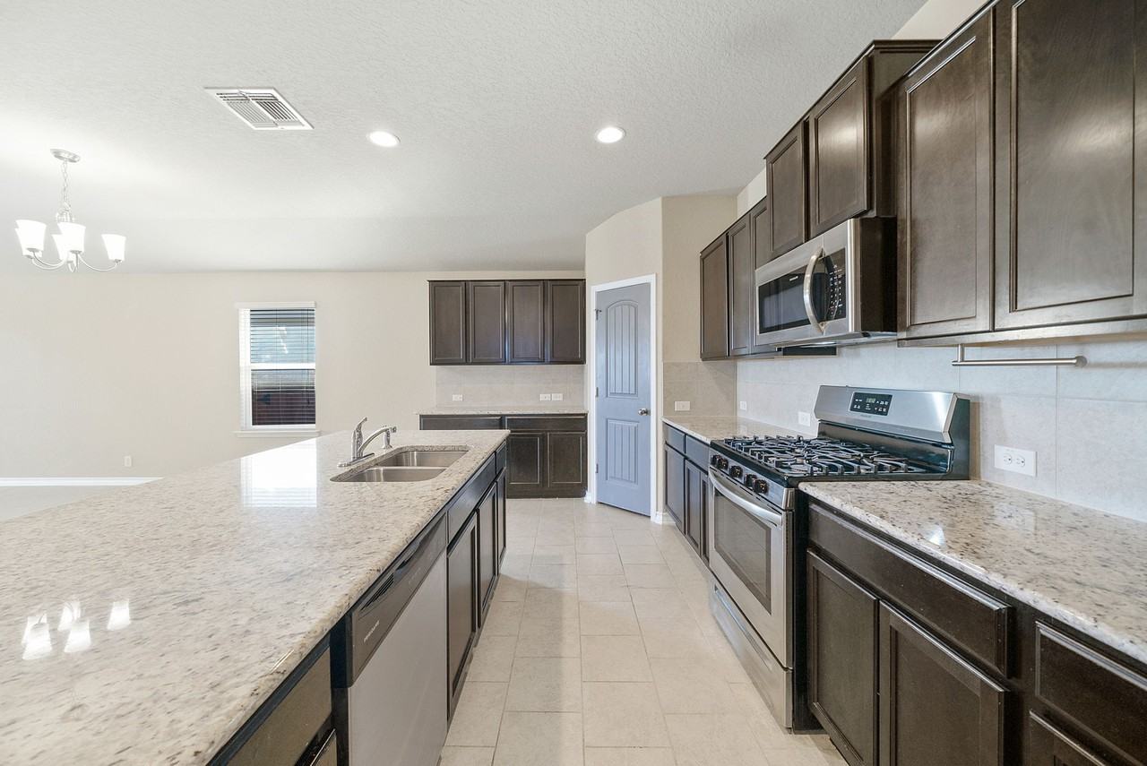 15502 Gray Catbird #1 - Photo 7 of 34