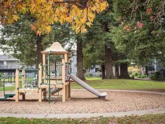 2001 Piner Rd - Photo 7 of 15