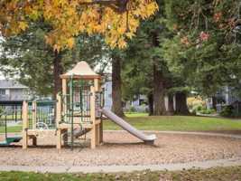 featured image of 2001 Piner Rd