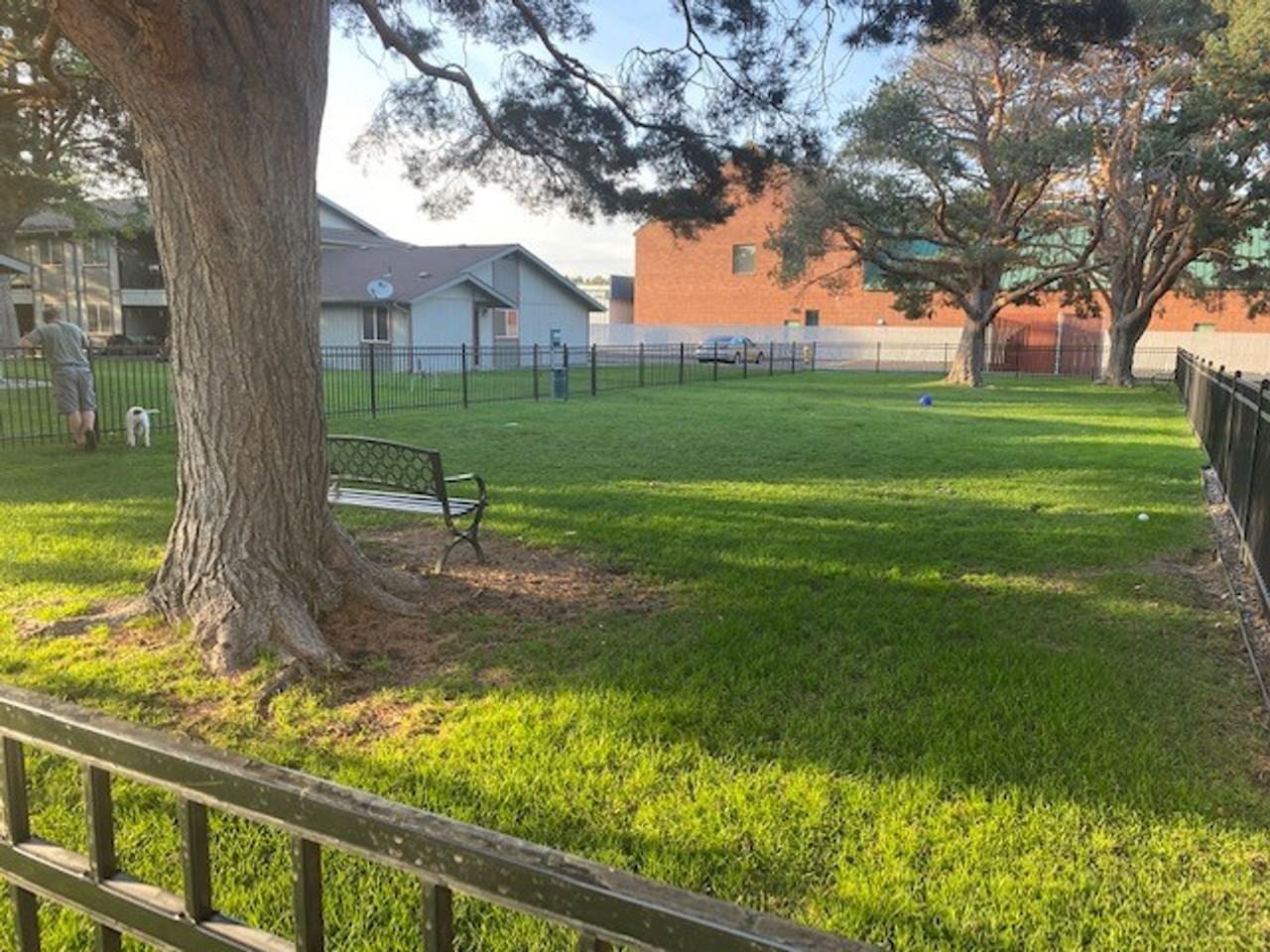 Irving Place Apartments - Photo 4 of 50