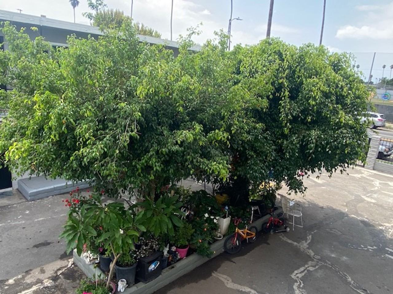 KOSOO 06 - Photo 4 of 5