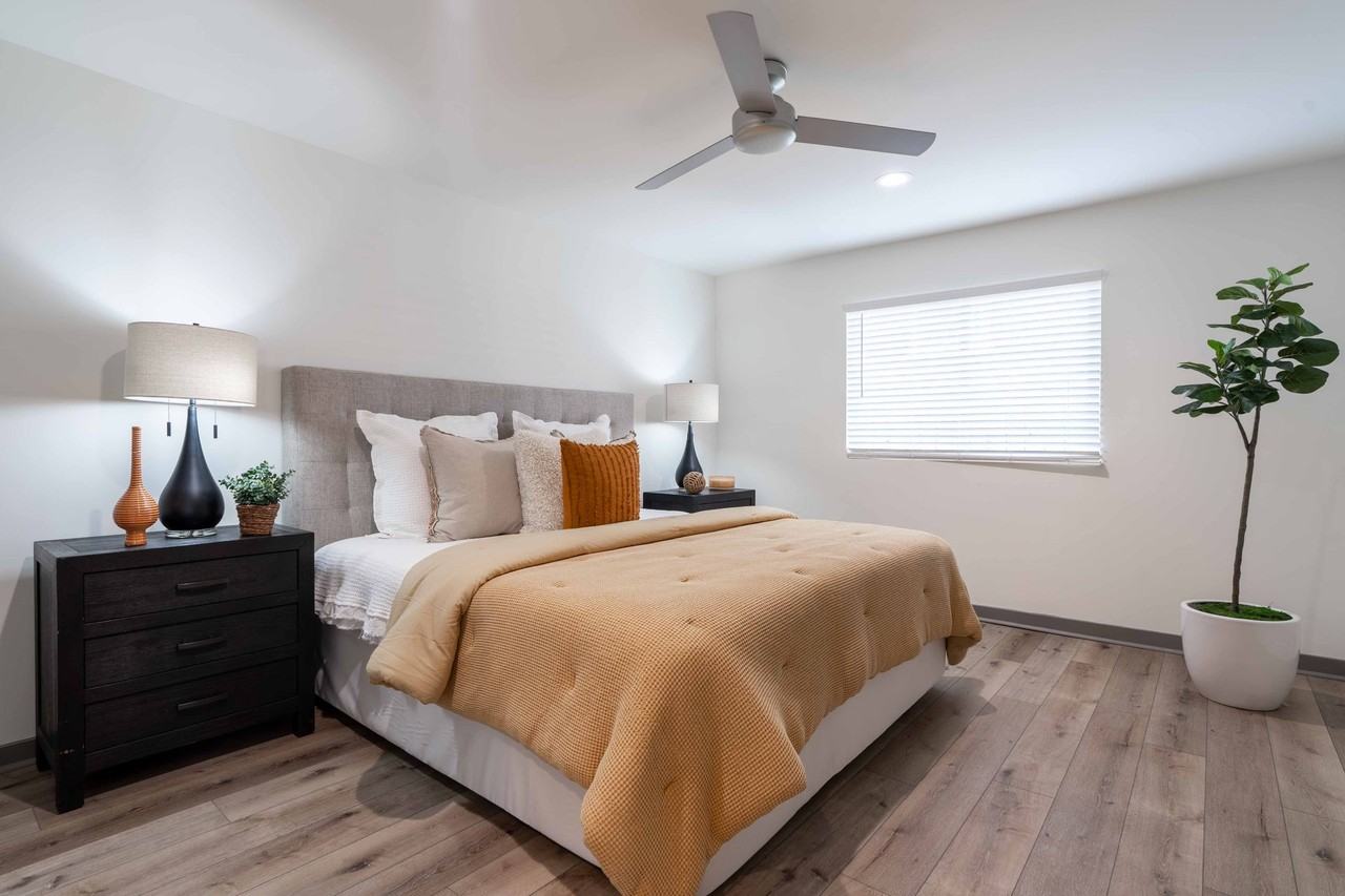 1 bedroom luxury apartments AMAZING VIRGINIA HIGHLANDS LOCATION! Steps to shops and restaurants! - Photo 6 of 22