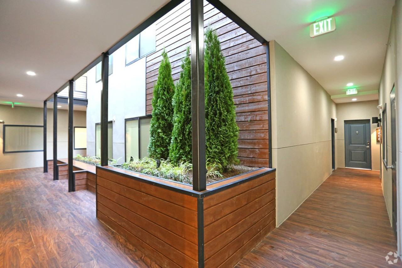 824 N Calvert St - Photo 6 of 12