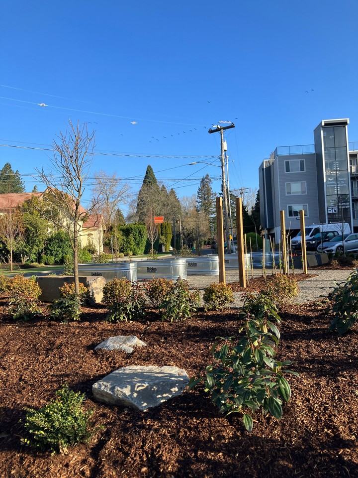 Park Hamlin - 2323 SE Harrison - Photo 3 of 8