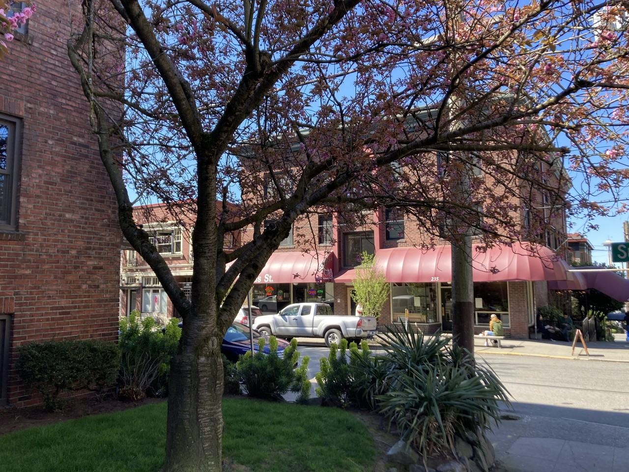 Varick - Photo 4 of 7