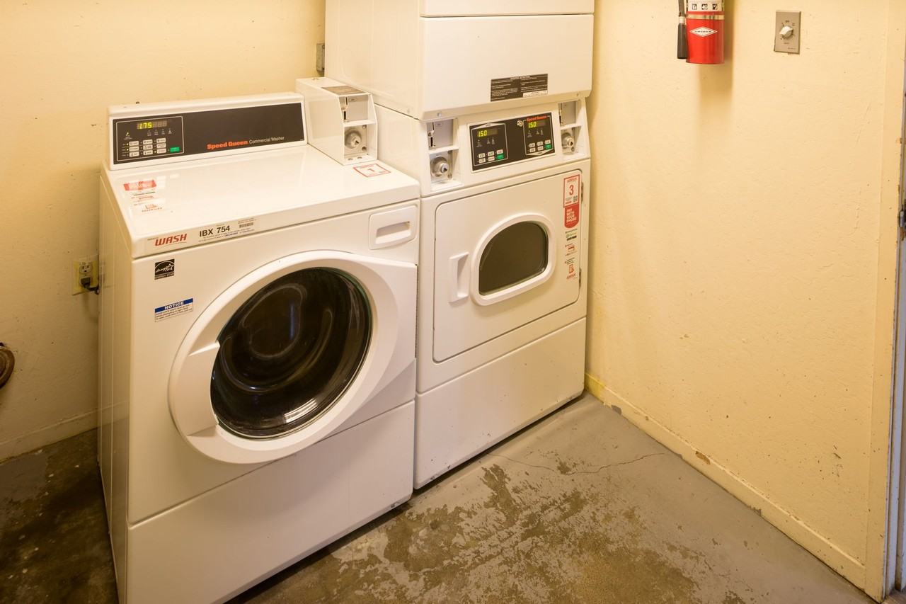 Dana - Photo 6 of 50