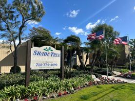 The Shade Tree Apartments - Photo 1 of 1
