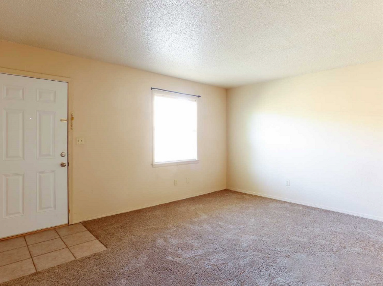 Call for Fall Specials - Photo 5 of 50