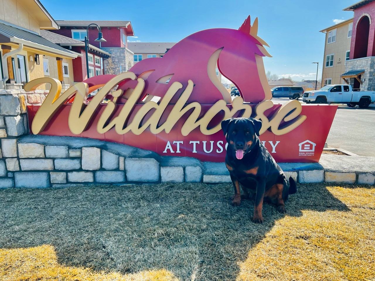 Wildhorse at Tuscany - Photo 2 of 39