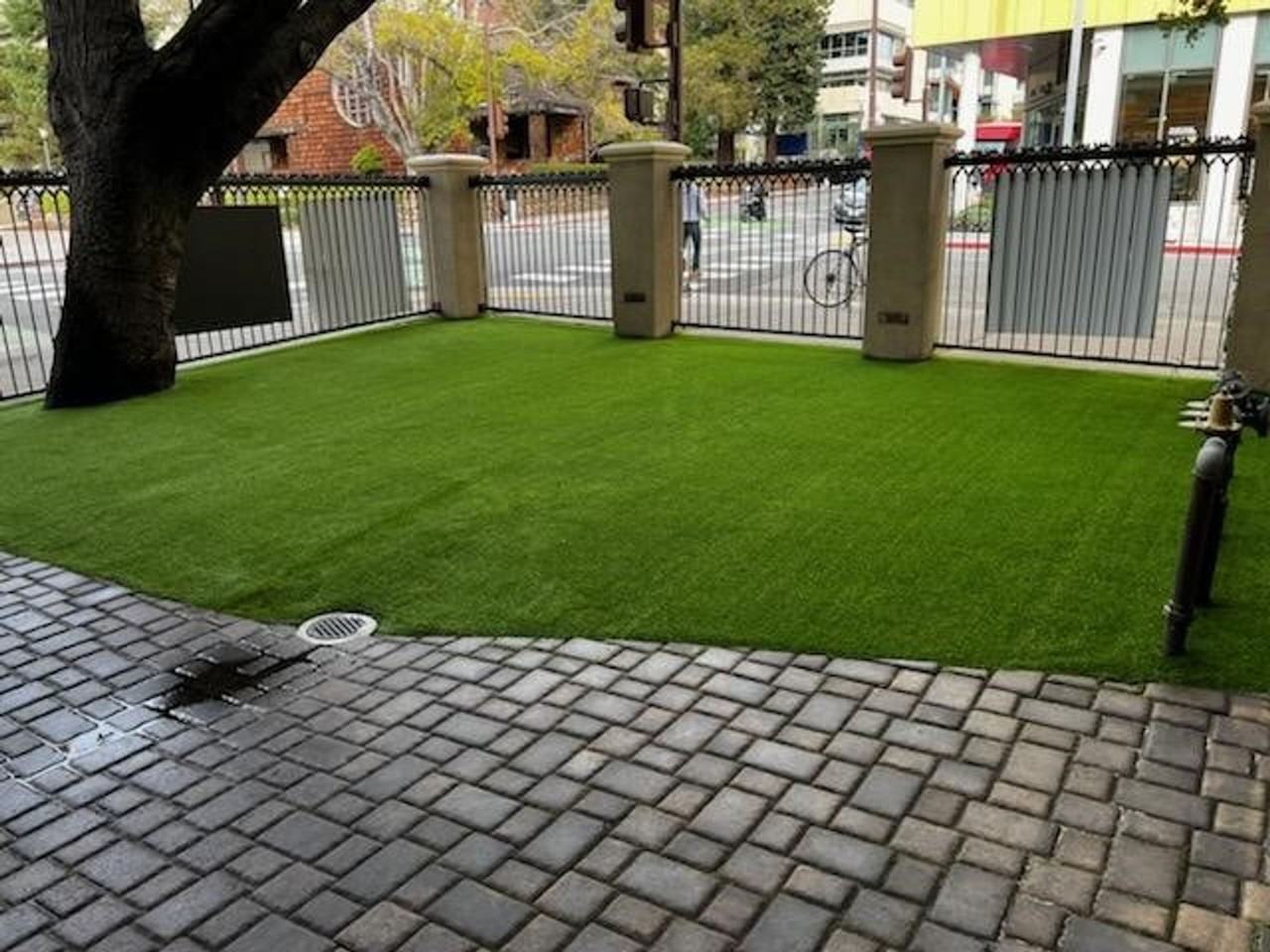 Wesley House at Cal Berkeley - Photo 3 of 18