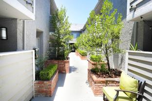 Cape Cod Garden - Photo 1 of 1