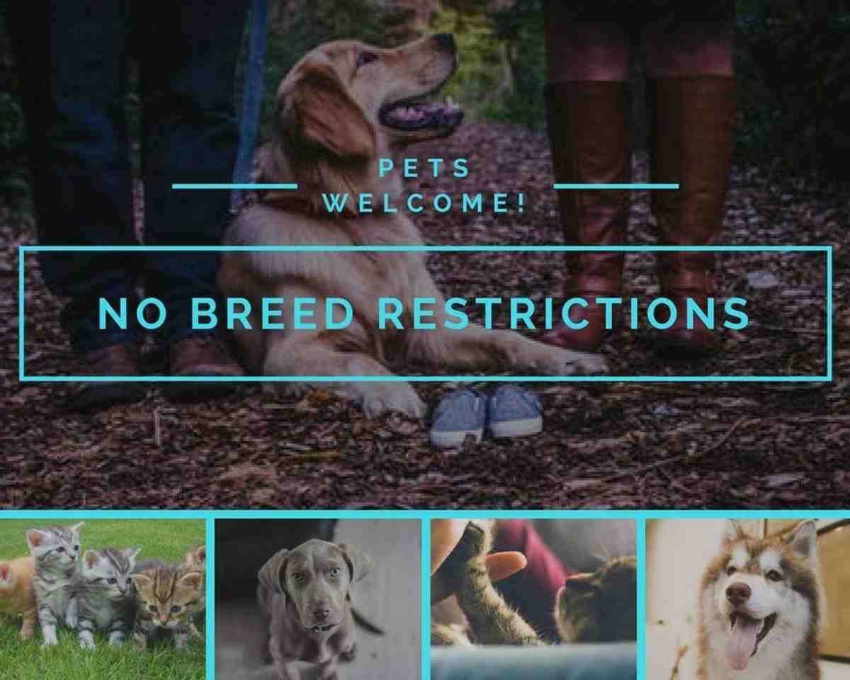 Images Highland Apartments - Photo 2 of 39